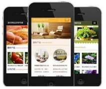手機(jī)網(wǎng)站怎樣做才更有效果？如何做優(yōu)化？