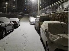 青島！大雪！大愛！