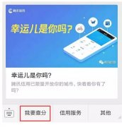 騰訊信用分全國公測，查了一下之后懵逼了。。