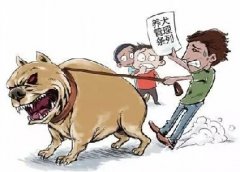 青島10月份一大波勁爆消息，你知道嗎？