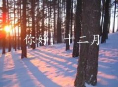 抓住2016年的尾巴給自己充充電！12月，加油！