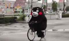 青島也有“共享單車”啦！說騎就騎的旅程GO